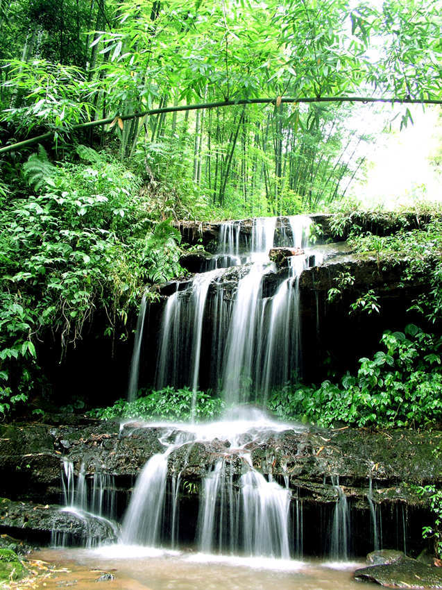 也是目前中国唯一的以竹类资源为景观主体的国家级重点风景名胜区