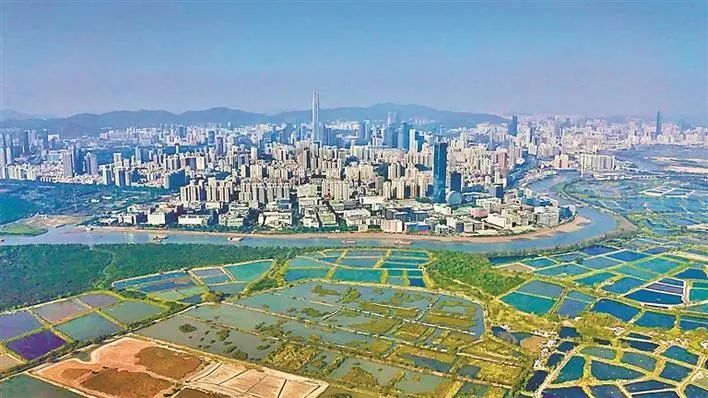 深圳商报记者 钟华登 摄在福田区第八次党代会报告中,"规划建设好河套