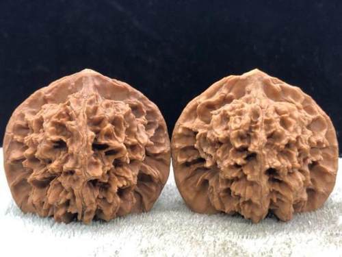 还真有依据,因为同样的把玩时间不同的人他盘出的核桃包浆是不一样的