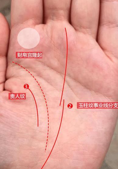 隆起 ,这种手相拥有很不错的财运,若手掌红润,同时生命线内侧有贵人纹