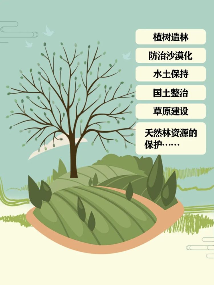 主要表現在:植樹造林,防治沙漠化,水土保持,國土整治,草原建設,及天然