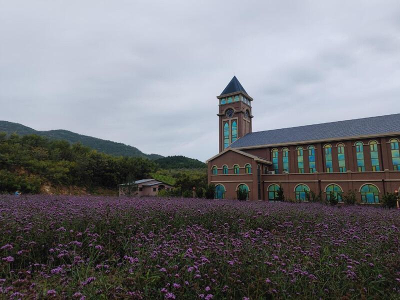 龙口一日游攻略篇一高尔夫游艇打卡桑岛度假村
