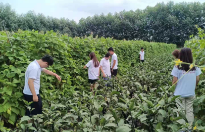 吉林大发小贴吧_吉林动画学院 吉林艺术学院_吉林农大发展学院