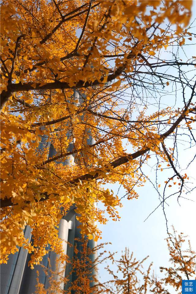 國家統計局：8月CPI同比上漲0.8%，環比上漲0.1%迪諾英語1A