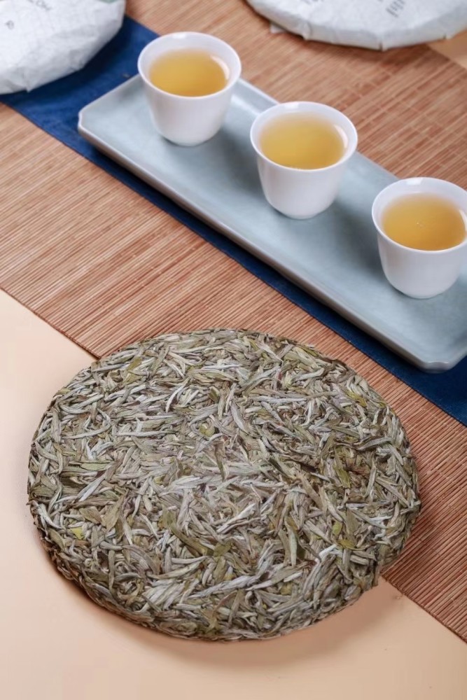 福鼎白茶:为什么都建议你收藏一些老白茶?_腾讯新闻