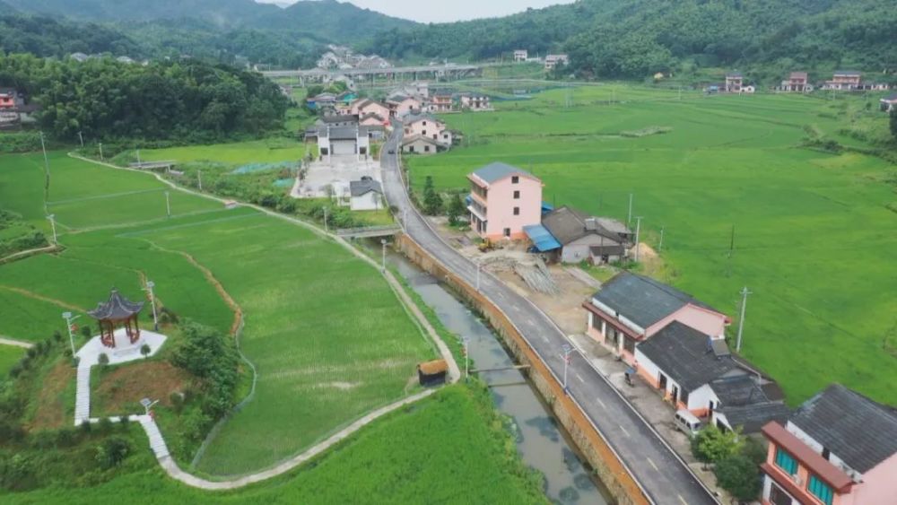 人大代表风采姚兰图撸起袖子加油干建设生态石牛江