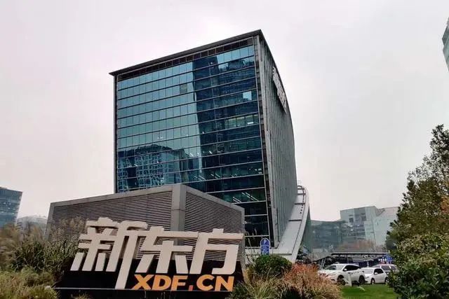 新东方组织架构调整:取消泡泡少儿部,优能初中部等k9相关建制