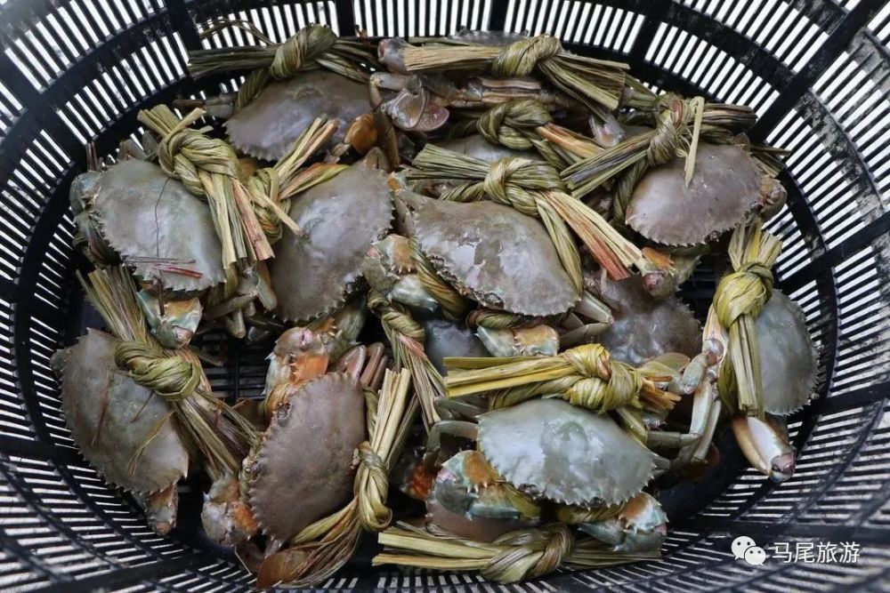 马尾旅游|琅岐红蟳的"优质"密码_腾讯新闻
