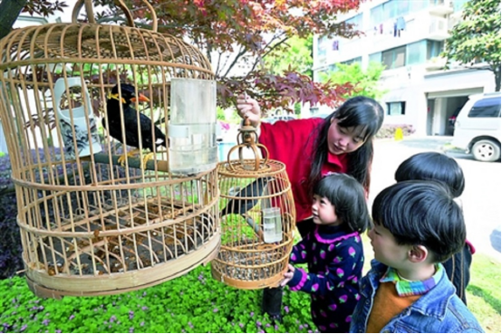 吴永桃没有什么特殊的功能.他有一颗非常喜