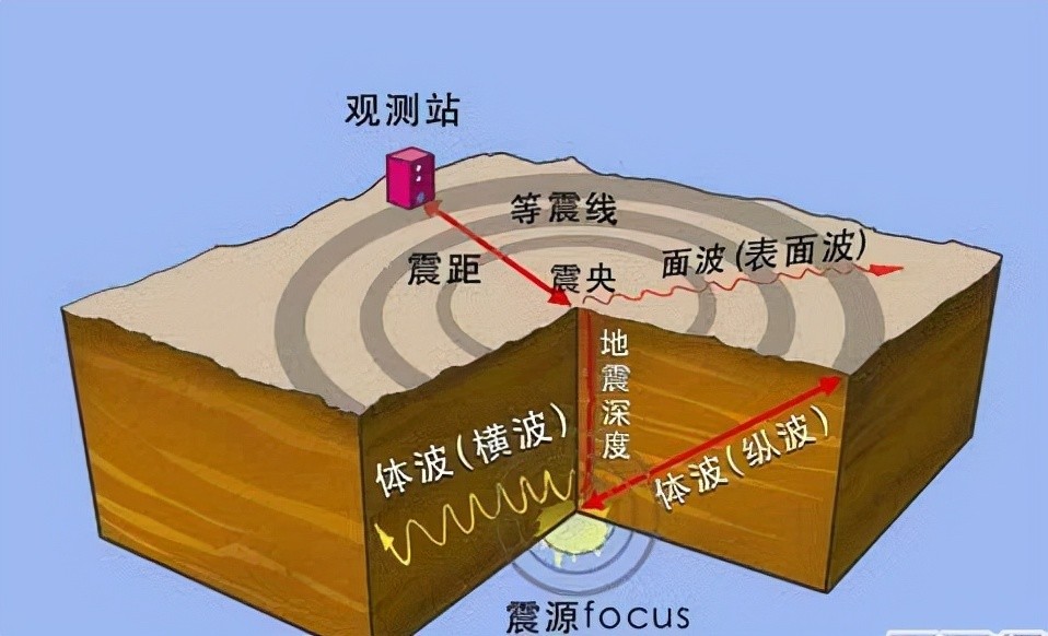 監控發現地震發生後最先知道的是魚它能感知一種不易察覺的震波