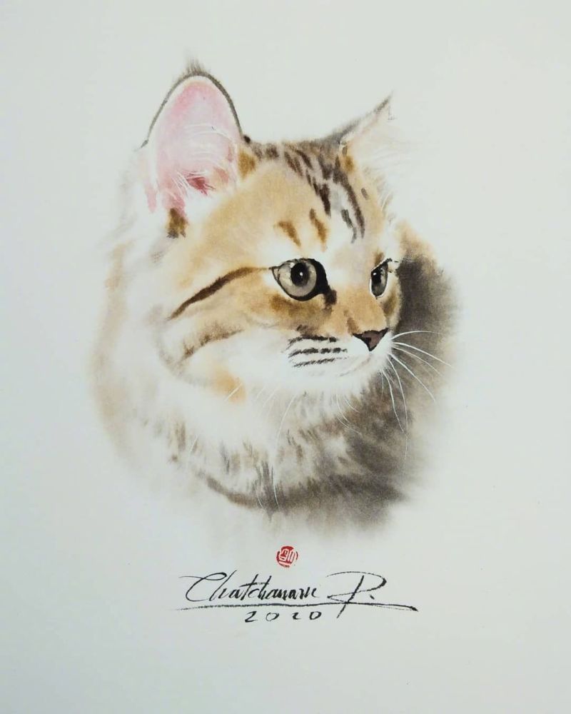 遇见艺术|画家笔下慵懒的水彩小猫咪