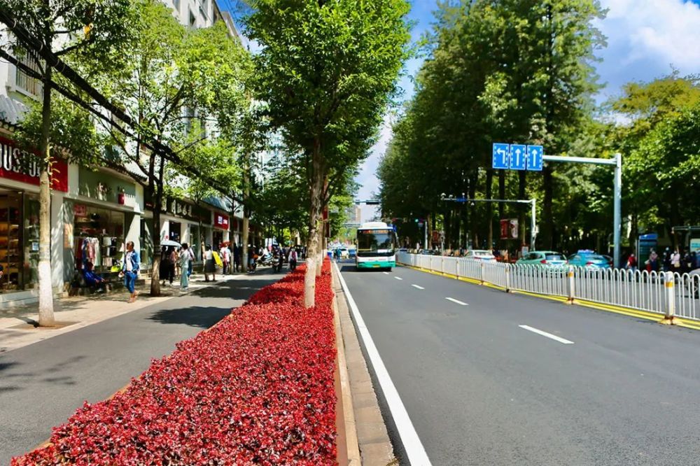 昆明这些地方成功出圈扛起春城颜值担当