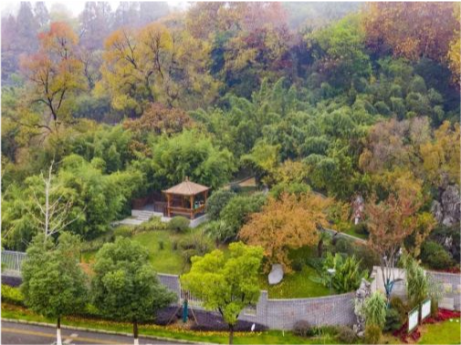 南京旅游菊花台公园