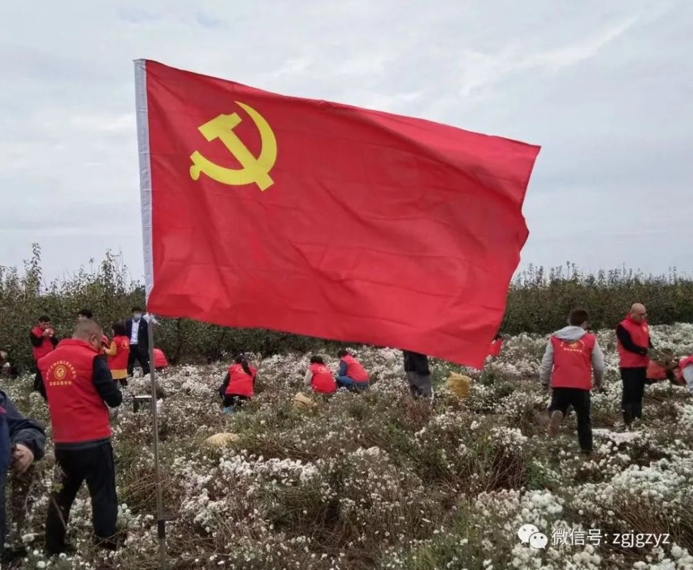 高举旗帜 响应号召 奋进新时代 启航新征程