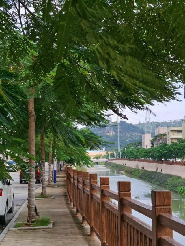 东莞樟木头金河社区获评"2020年广东省森林乡村"
