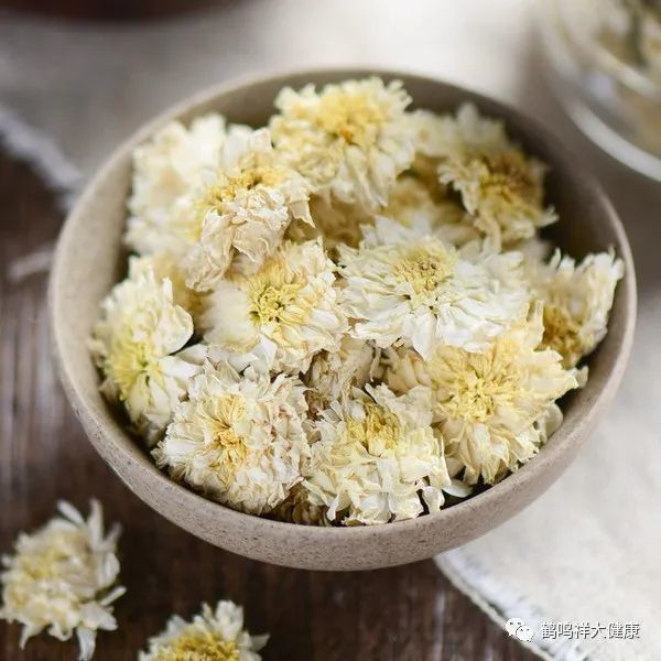 每周一味中草药——菊花.