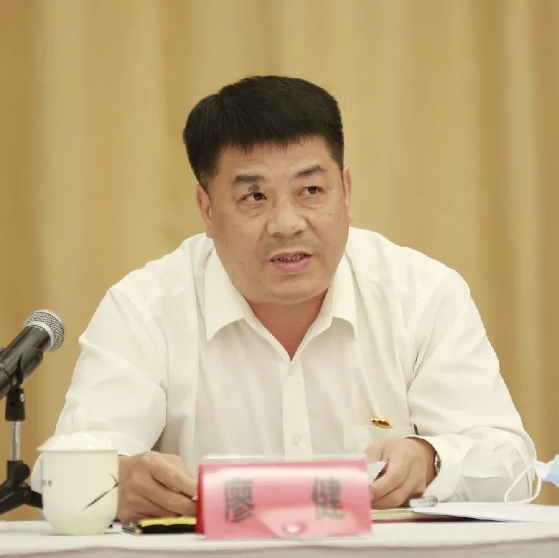 律师,法律服务工作者,企业家代表张镇雄,陈永正,黄卫东,林丹,谢良地