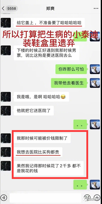 沈梦辰离全民反感还有几步之遥？