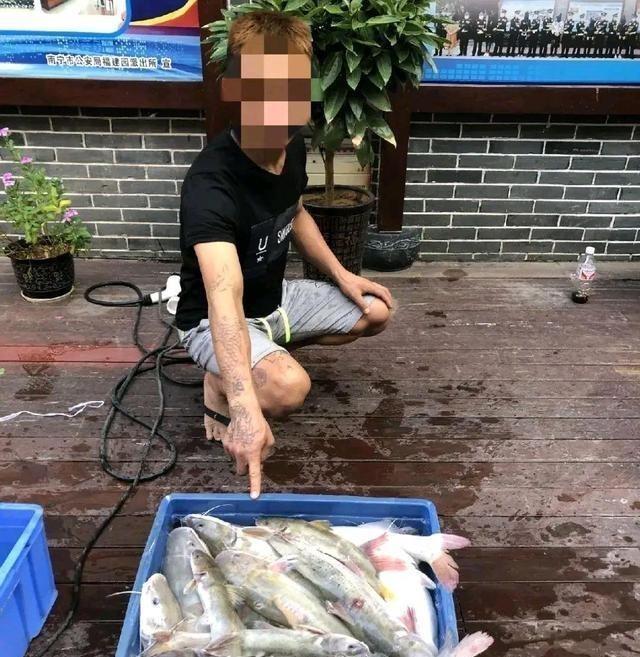 掙扎的芝麻劍魚已升級為二級國保卻躲不過水下蛙人的捕殺