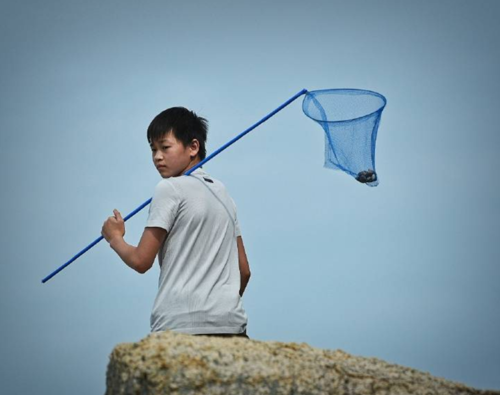 青春年少！全红婵惠东海滩训练仰望星空，背着网兜下海摸鱼捞螃蟹商务英语基础下