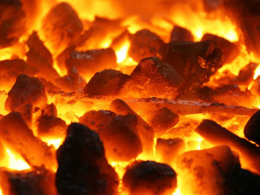 直播激辩喝酒烧煤四季度两大主线究竟谁更值得期待