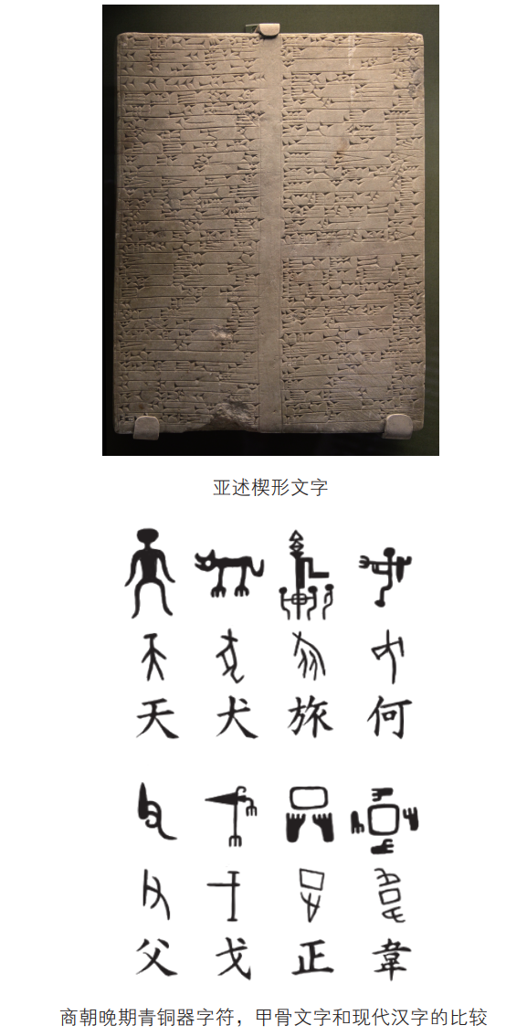 福利丨人类的文字是如何出现并发展演变的呢?