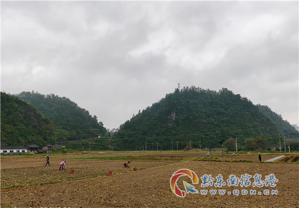 天柱县坪地镇:"123"工作法推动秋冬种工作落地出效_腾讯新闻