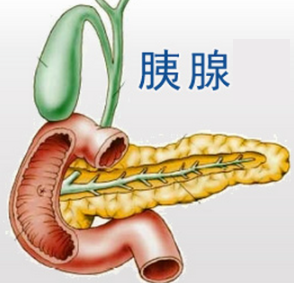 胰腺癌成新晉癌中之王50歲以上和這些人群要高度重視