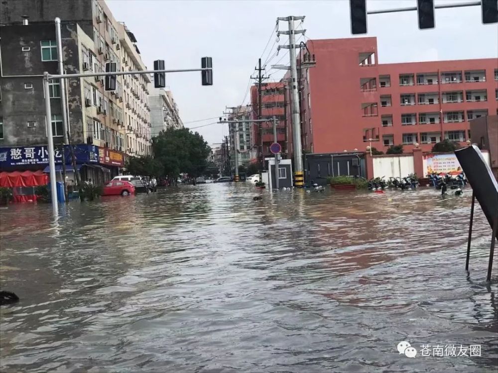 温州这些地方又被大水淹没了