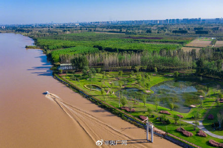 郑州黄河滩湿地公园图片