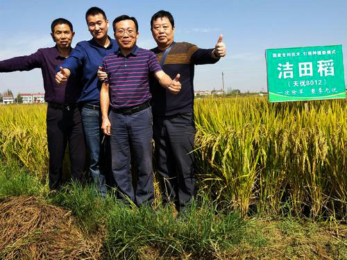 唐晓艳独家技术研发洁田稻让稻田杂草不生且不伤秧苗