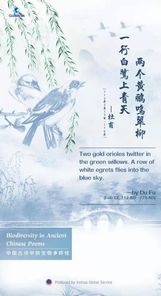 中国古诗中的生物多样性学英语口语的app免费