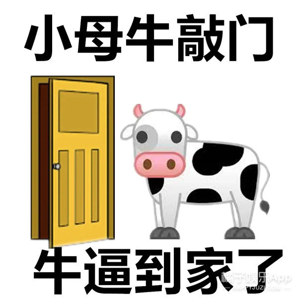 橘子晚报：粉丝声讨Owhat退钱