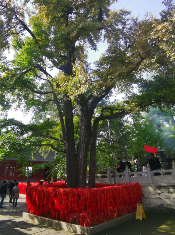 上海交大黨委書記楊振斌：建設創新型大學，服務高質量發展彼岸并不遙遠600字記敘文2023已更新(今日/嗶哩嗶哩)破冰演唱會撒老師不是c位