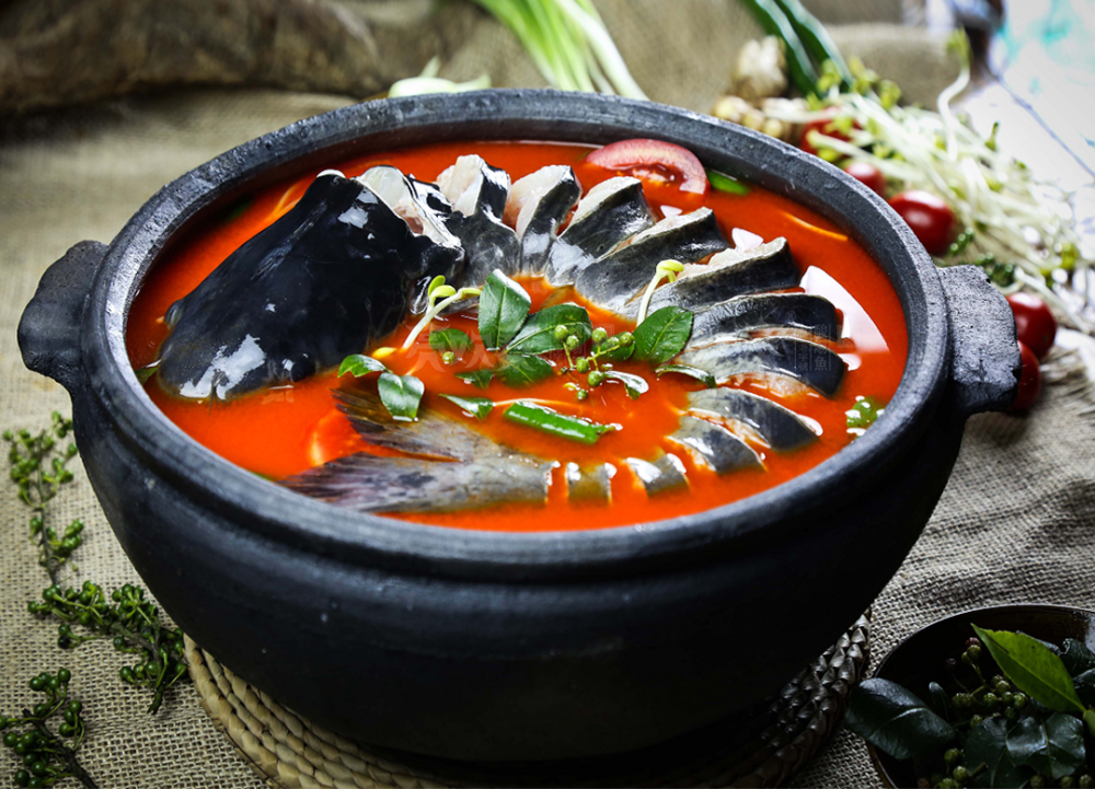 贵州味道歌曲酸汤鱼