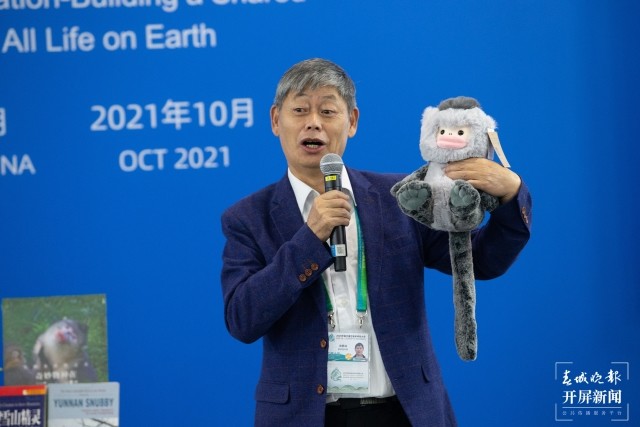 滇金丝猴和我长得很像来听雪山猴王龙勇诚讲他的挚爱