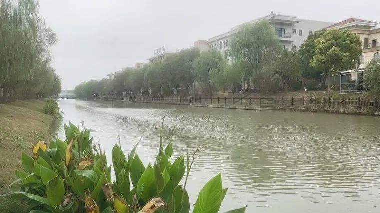 区胜泾河青浦区小涞港青浦区南大港青浦区王仙泾青浦区华杨河奉贤区南