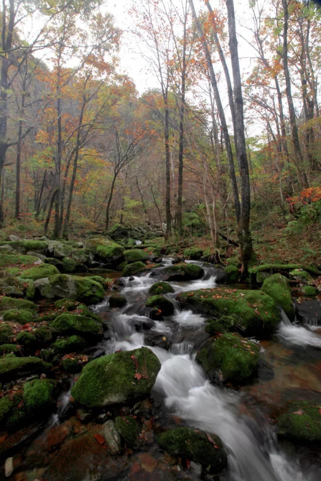 这里是陕西黄花岭