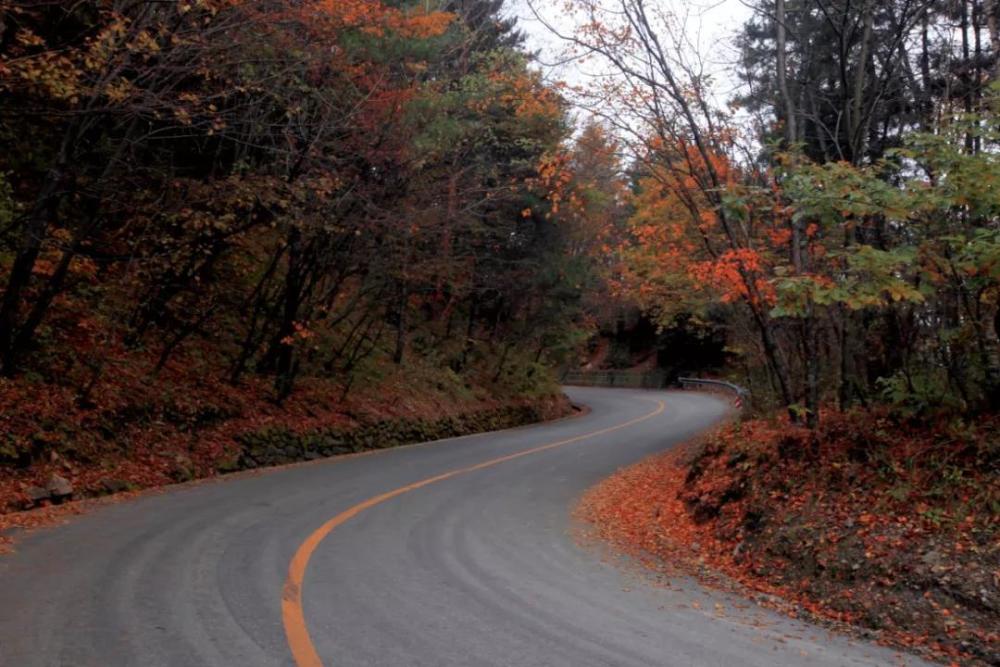 这里是陕西黄花岭