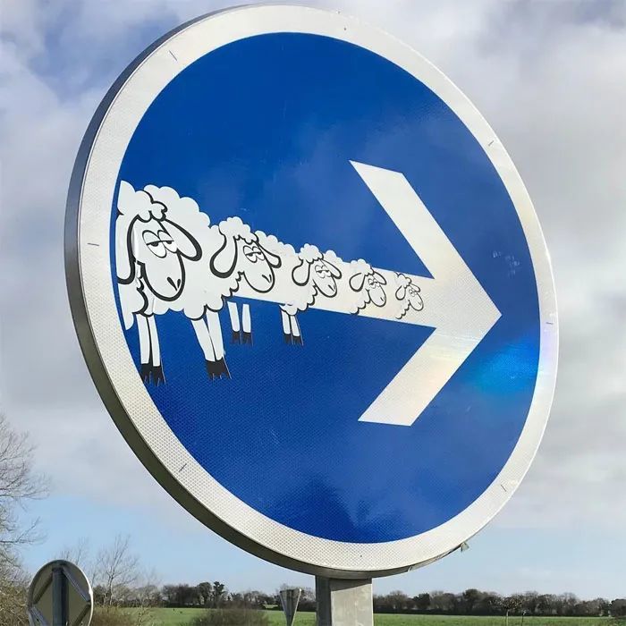 艺术家"爆改"街头路标 遭指责:破坏基础设施,危及人身安全