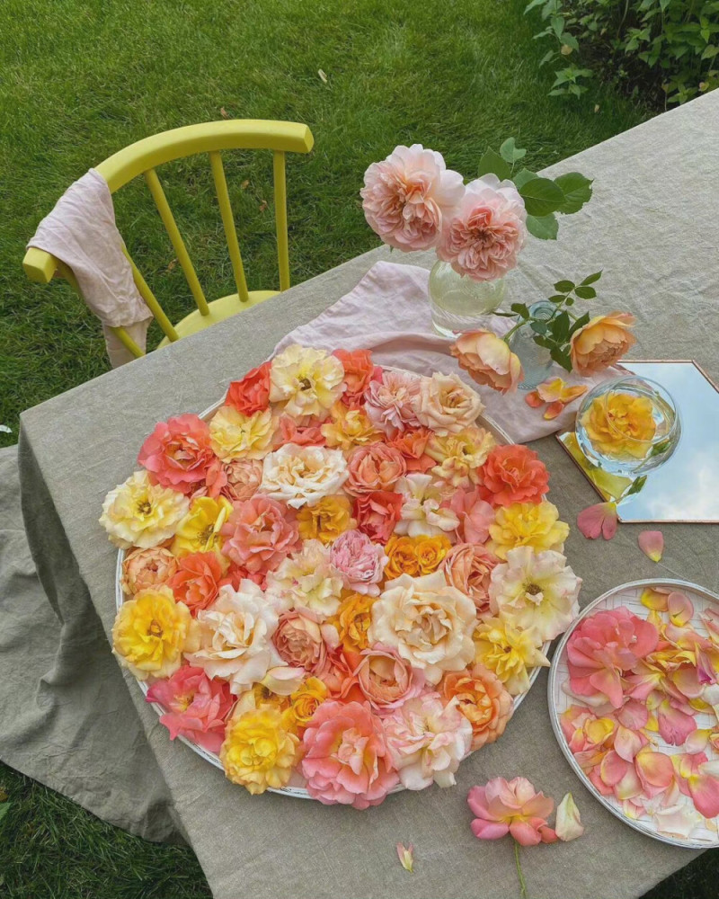 50条高质量宝藏短句 腾讯新闻