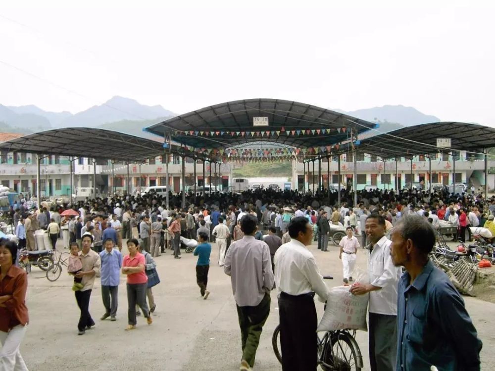 2003年,磐安县委,县政府对原新渥中药材市场再次进行升级改造.