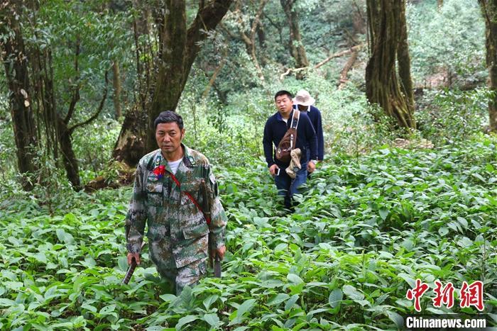 土耳其又开始增兵，中东一土豪要求阿萨德迅速收复伊德利卜飞机上不能带什么东西