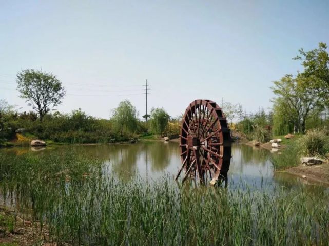 因为这件事,崇明乡村大变样了!