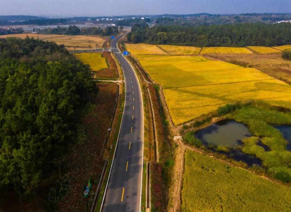 它連接著東屏,白馬,晶橋,和鳳四大街鎮,是溧水東南部片區重要出行環線