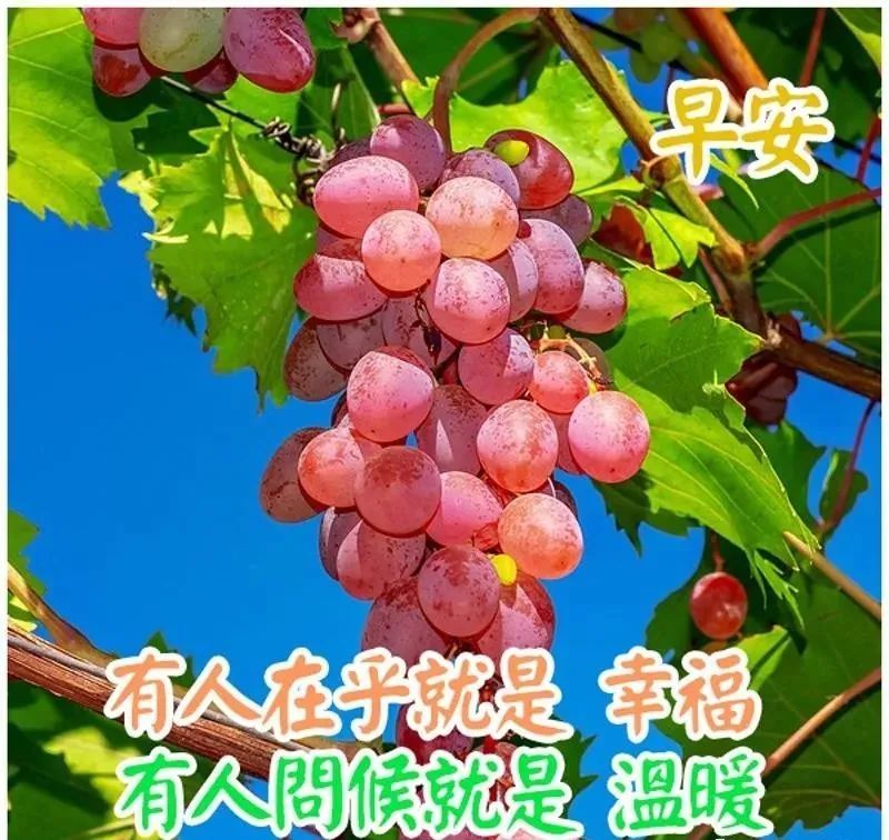 2021年11月29日清晨早上好问候祝福动态表情图片 最新早安问候祝福
