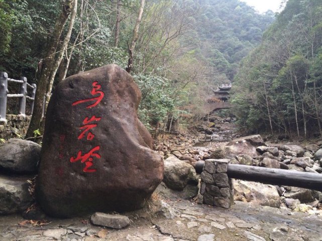 龍角奇蛇角原矛頭蝮7年後再現浙江烏巖嶺毒性有多強