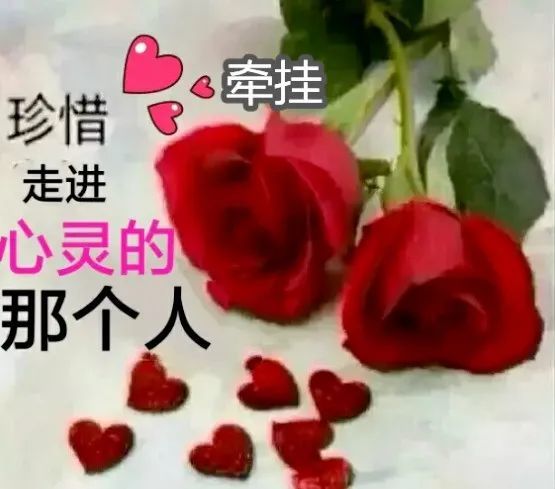 一生牵挂,是最美的缘
