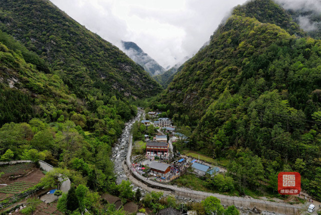 山生万物平武关坝村入选生物多样性100全球典型案例