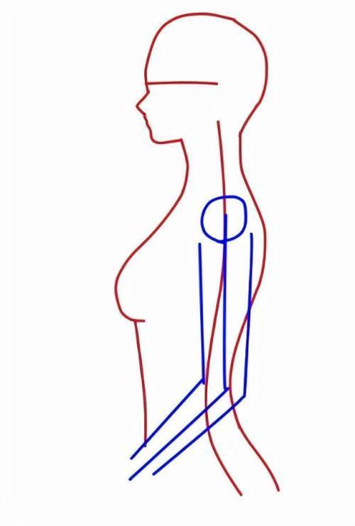 側面七頭身人物怎麼畫側面的頭部和身體的基礎描繪方法